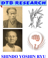 Shindo Yoshin Ryu Jujutsu - die nachgiebige Kampfkunst